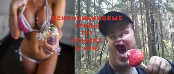 PSILOCYBIN Абинск