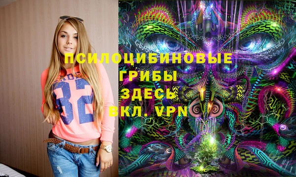 PSILOCYBIN Абинск