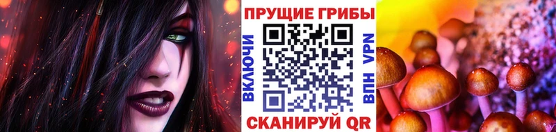 Псилоцибиновые грибы GOLDEN TEACHER Александровск